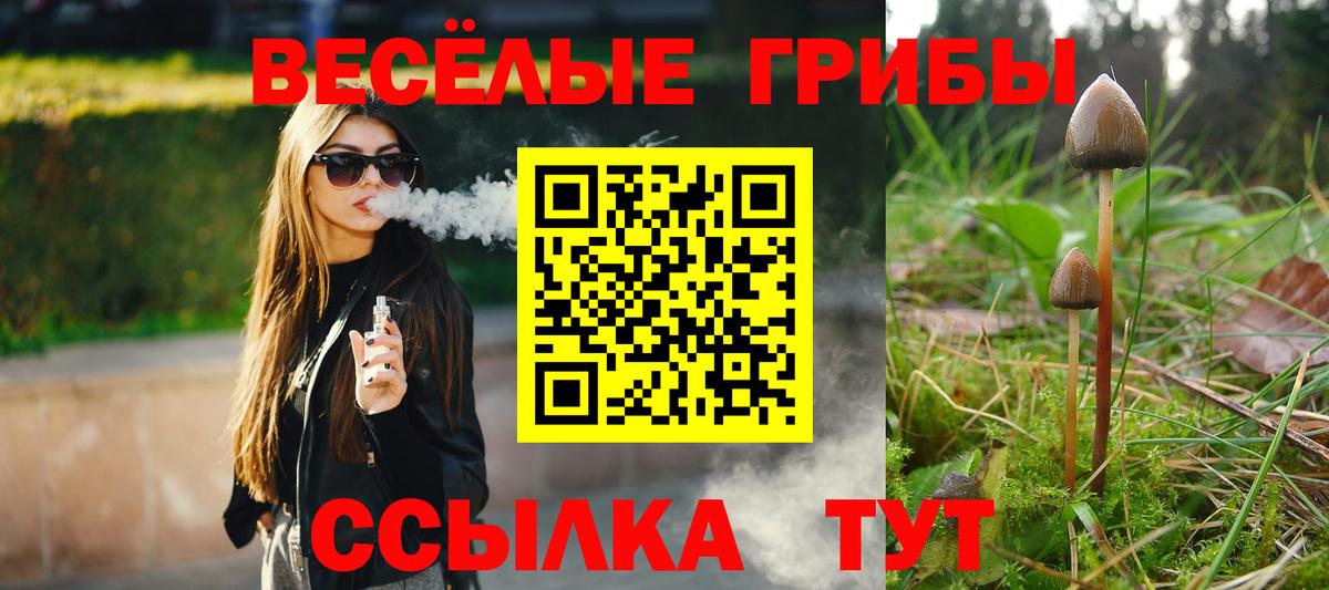Псилоцибиновые грибы Cubensis Моршанск