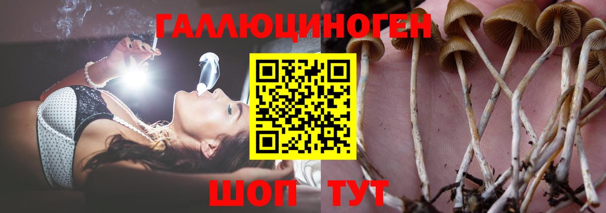 Галлюциногенные грибы мицелий  купить  цена  Моршанск  Вход с VPN  Галлюциногенные грибы прущие грибы 