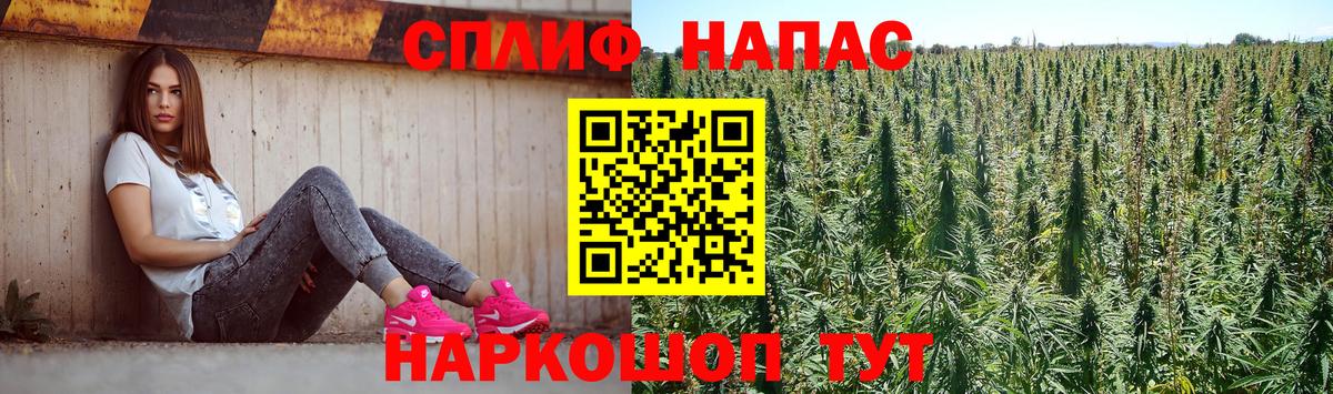 Марихуана OG Kush  Каннабис White Widow  Вход с VPN  Бошки Шишки марихуана  Моршанск  Бошки Шишки Amnesia 